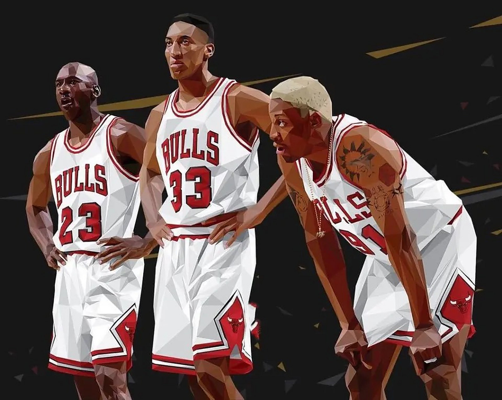 芝加哥公牛主场 芝加哥公牛主场